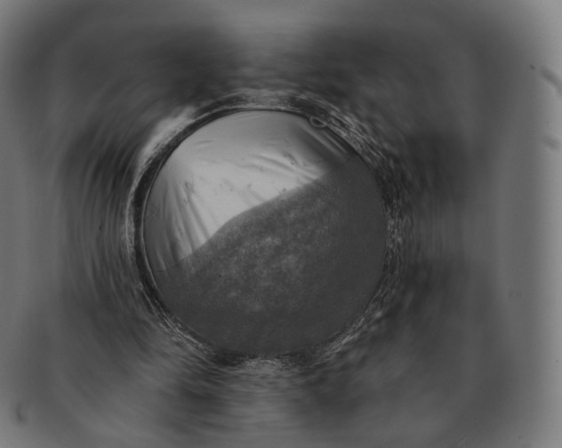 X0000091290294200708241035