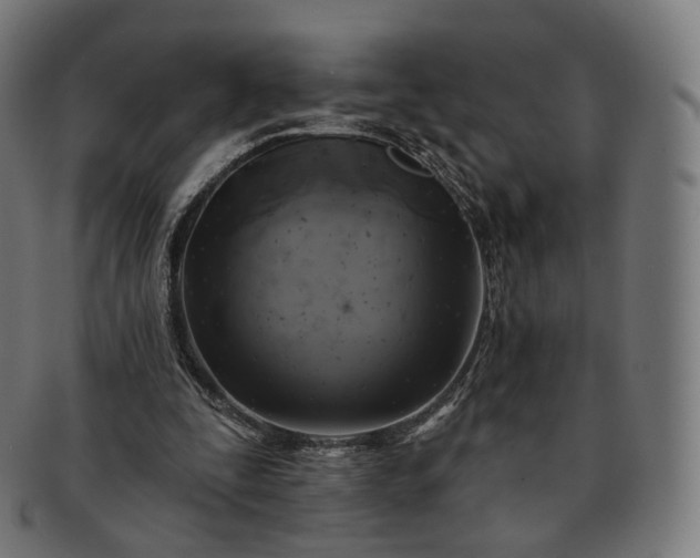 X0000091290295200708241035