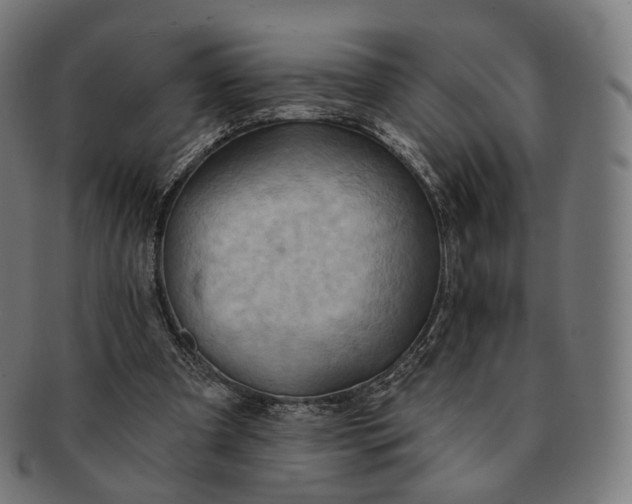 X0000091290297200708241035