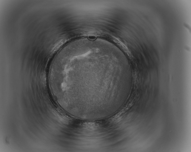 X0000091290298200708241035