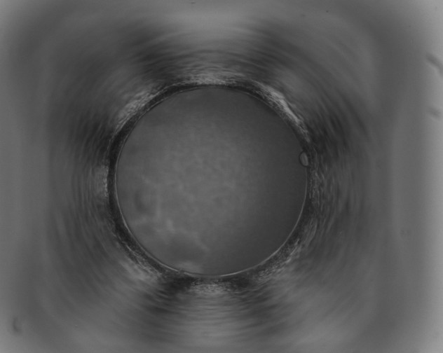 X0000091290299200708241035