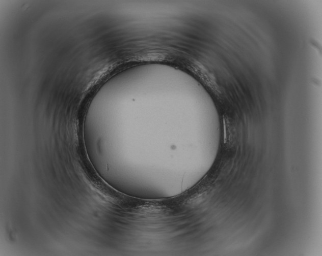 X0000091290300200708241035