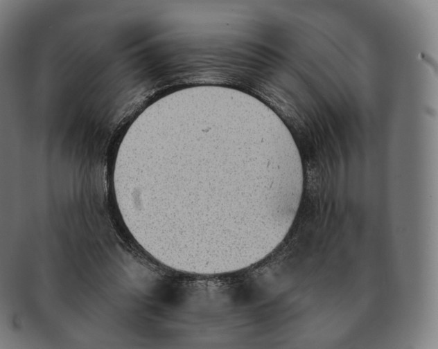 X0000091290302200708241035