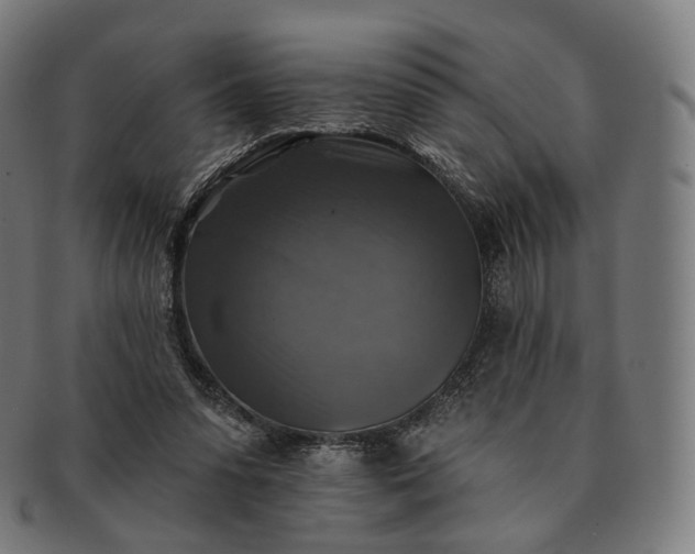 X0000091290303200708241035