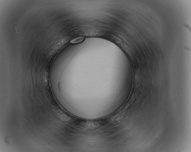 X0000091290305200708241035