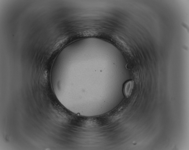 X0000091290308200708241035