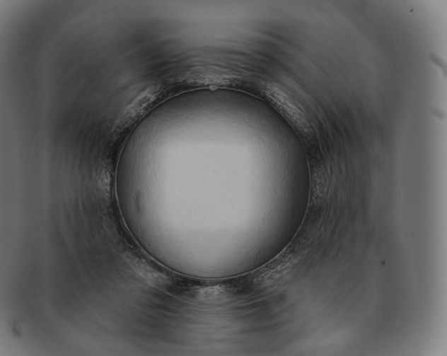 X0000091290309200708241035