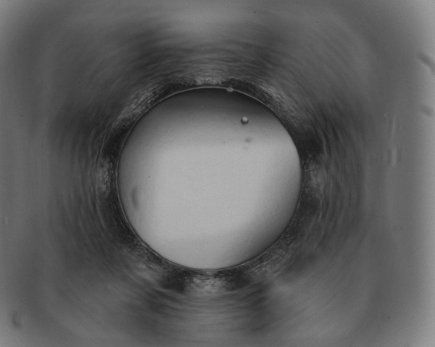 X0000091290311200708241035