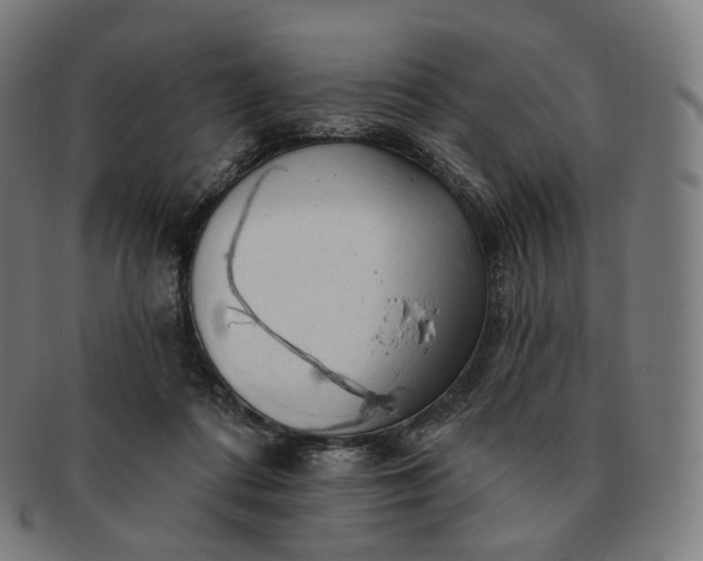 X0000091290312200708241035