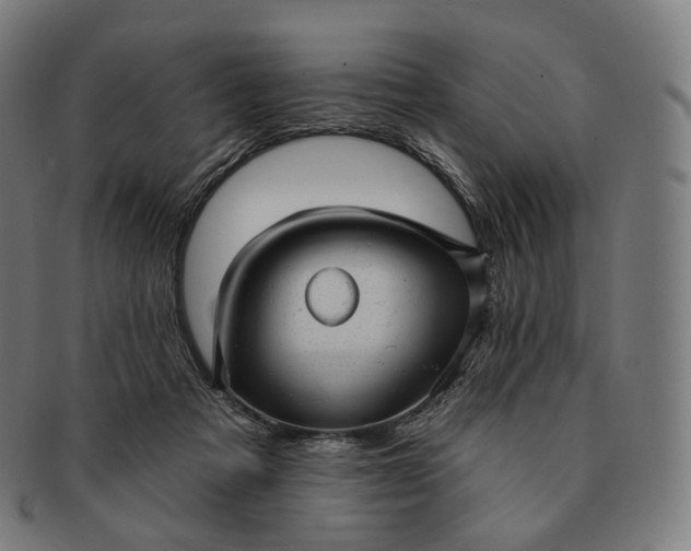 X0000091290313200708241035