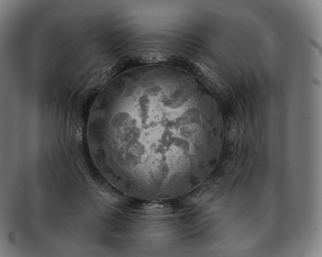 X0000091290315200708241035