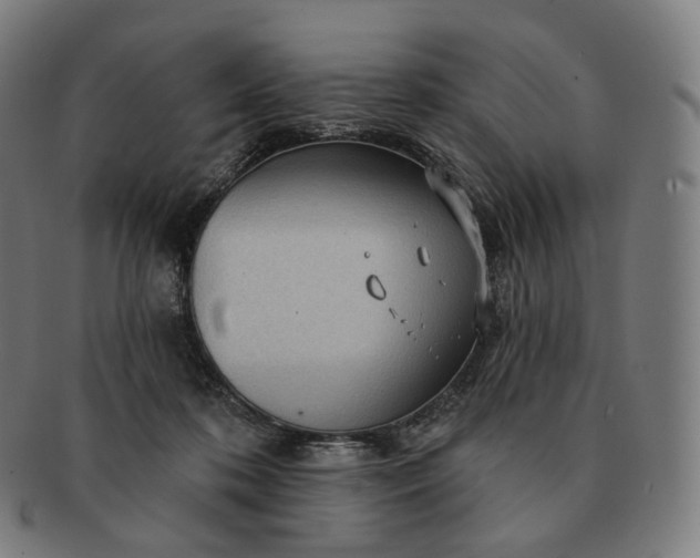 X0000091290316200708241035