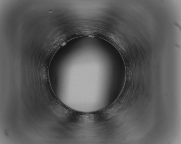 X0000091290317200708241035