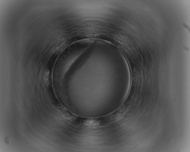 X0000091290319200708241035