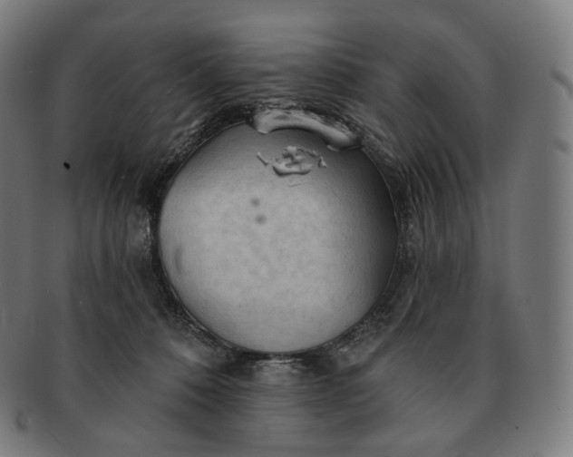 X0000091290320200708241035