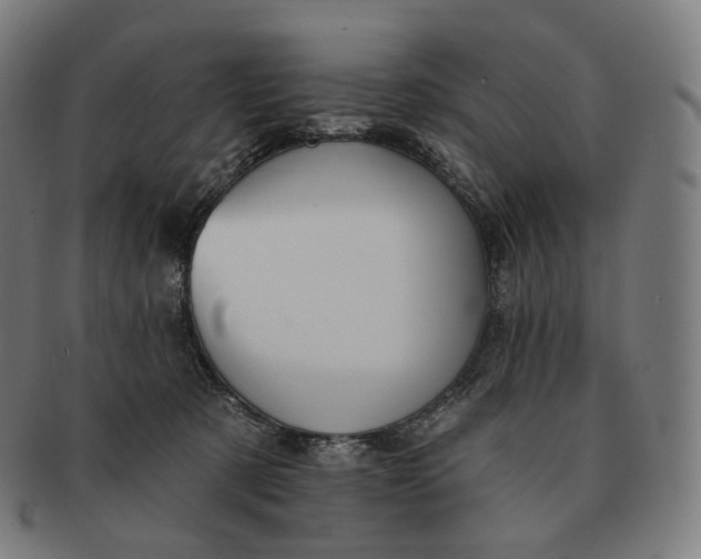 X0000091290321200708241035