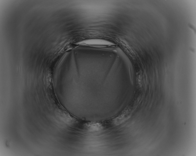 X0000091290322200708241035