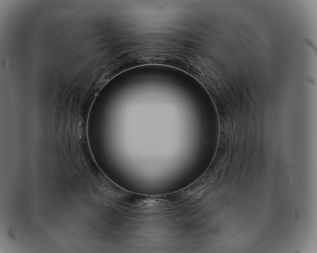 X0000091290323200708241035