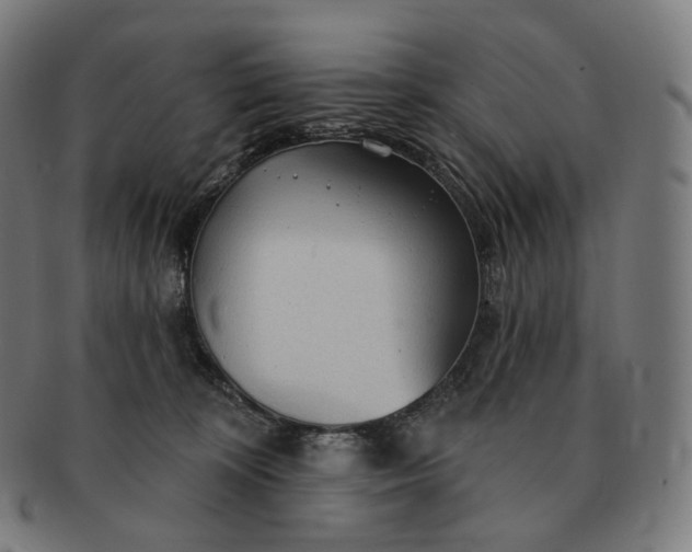 X0000091290324200708241035