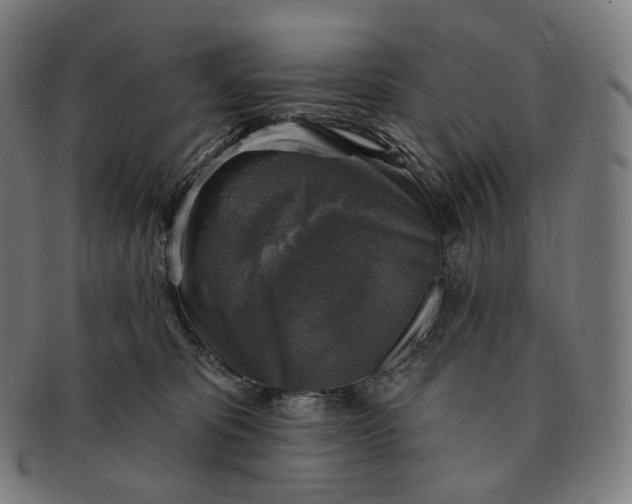 X0000091290325200708241035