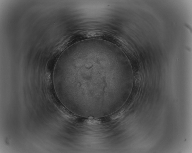 X0000091290327200708241035