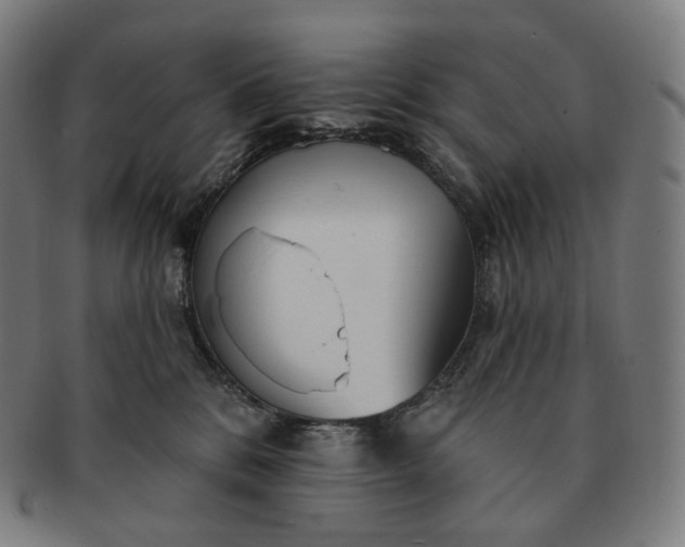 X0000091290328200708241035