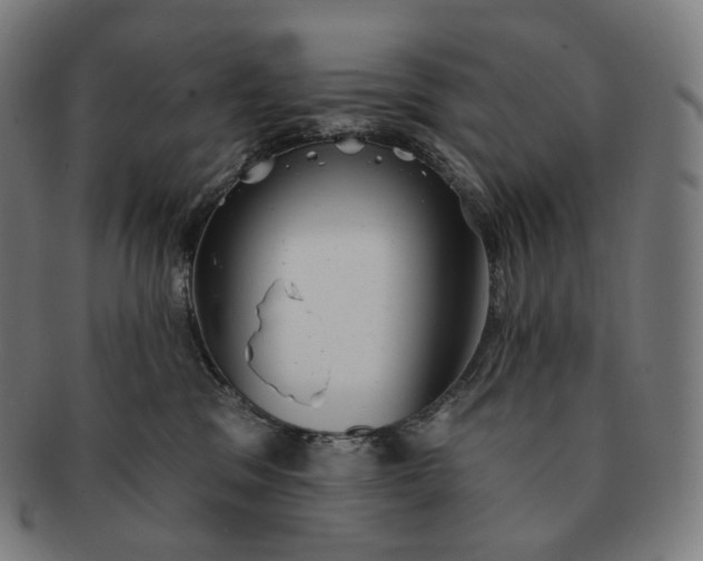 X0000091290329200708241035