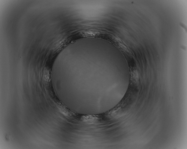 X0000091290331200708241035