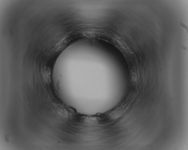 X0000091290332200708241035