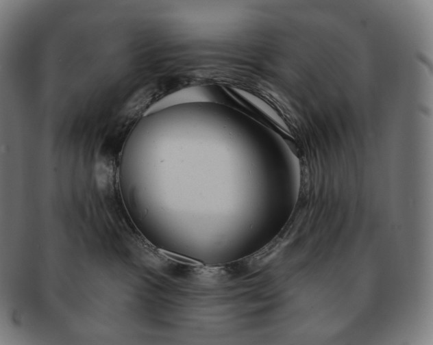 X0000091290333200708241035