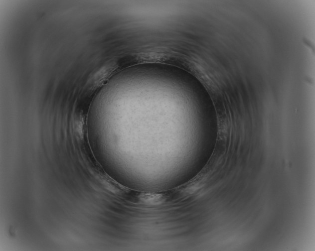 X0000091290334200708241034