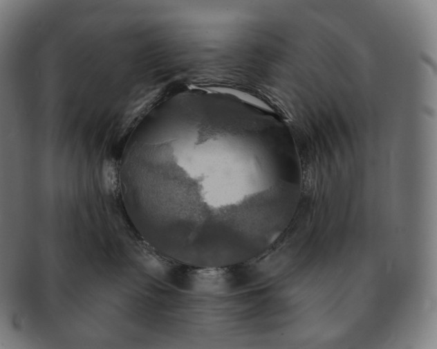 X0000091290335200708241034