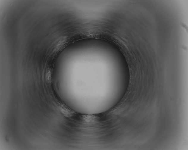 X0000091290336200708241034