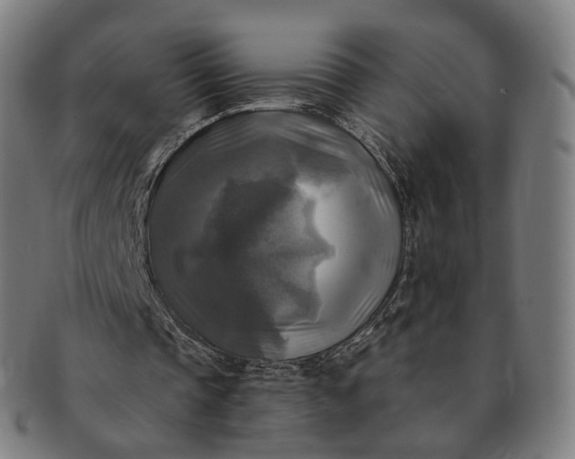 X0000091290337200708241034