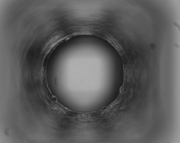 X0000091290338200708241034