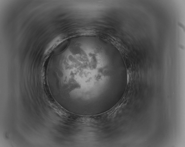 X0000091290339200708241034