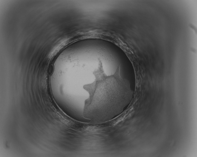 X0000091290341200708241034