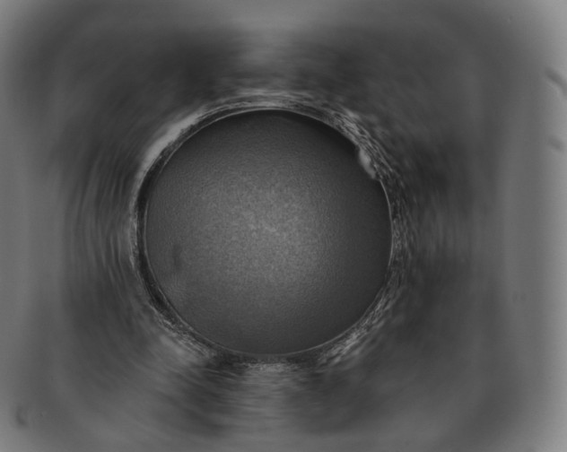 X0000091290342200708241034