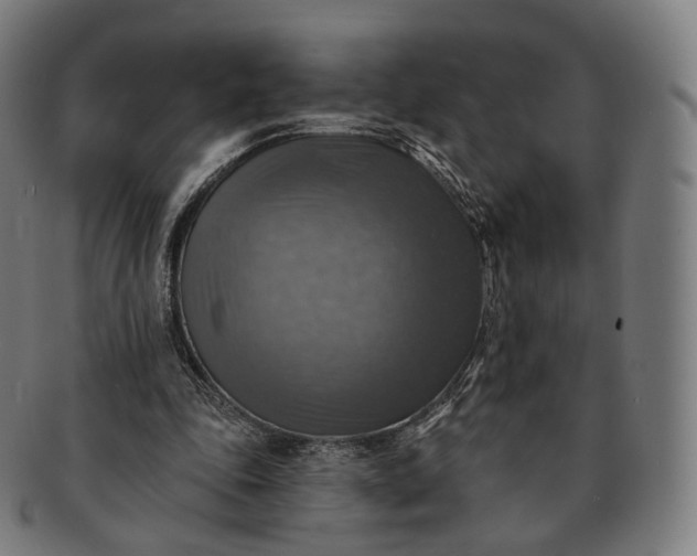 X0000091290343200708241034