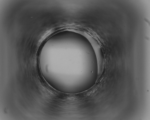 X0000091290344200708241034