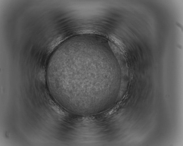 X0000091290345200708241034