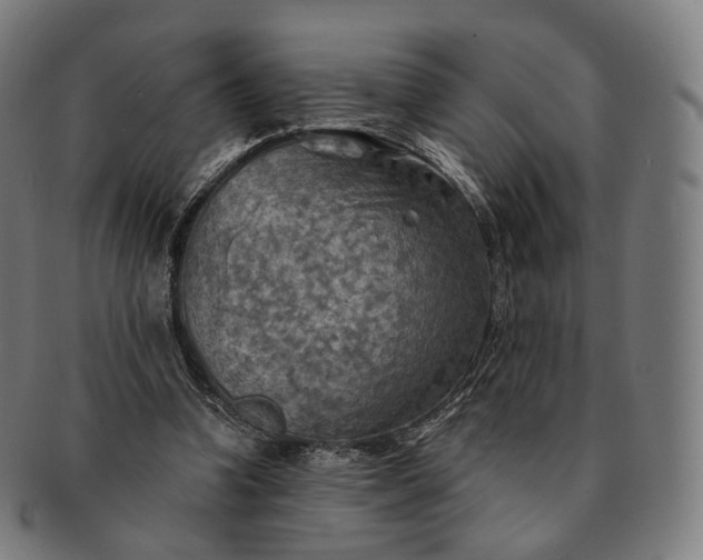 X0000091290346200708241034