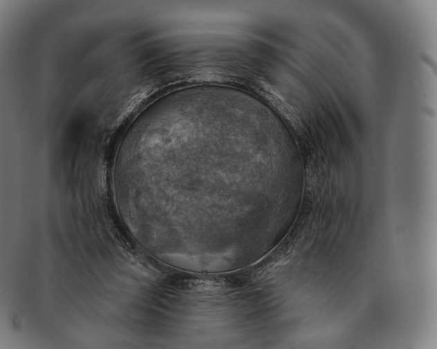 X0000091290347200708241034