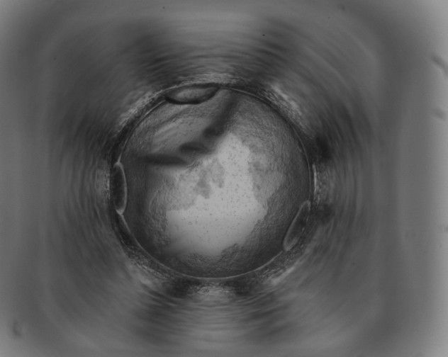 X0000091290348200708241034