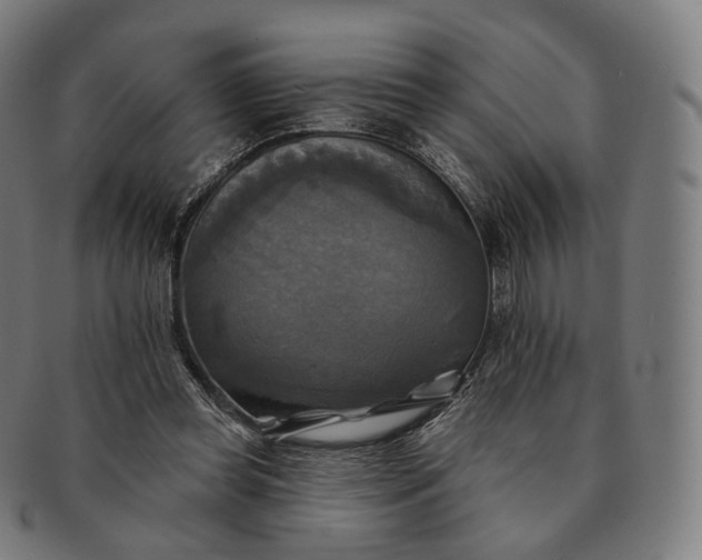 X0000091290349200708241034