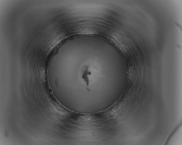 X0000091290351200708241034