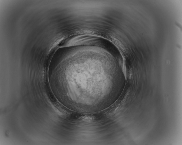 X0000091290352200708241034