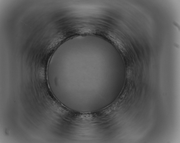 X0000091290353200708241034