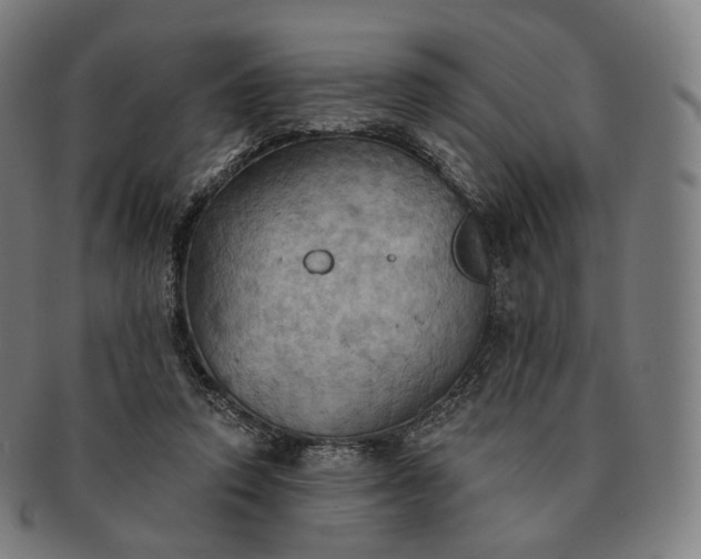 X0000091290354200708241034