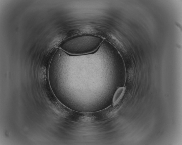 X0000091290356200708241034